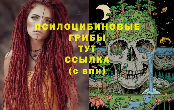 каннабис Богородицк