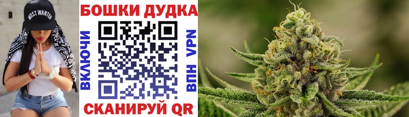 продажа наркотиков  Берёзовка  МАРИХУАНА OG Kush 